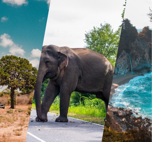 Yala Kataragama Pasikuda